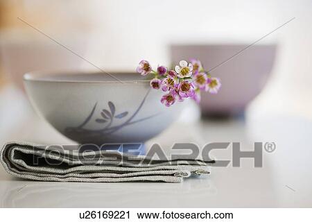 Tropical flowers in bowl View Large Photo Image Stock Image - Tropical flowers in bowl. Fotosearch
