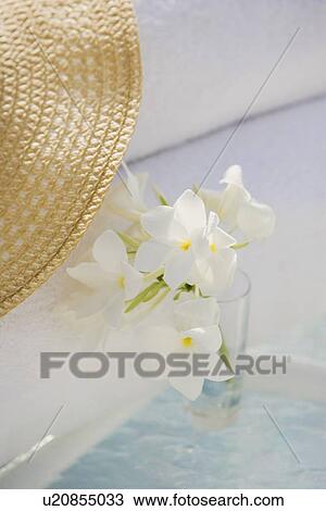 Tropical flowers in View Large Photo Image Stock Image - Tropical flowers in . Fotosearch