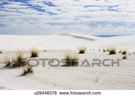 White sand dunes View Large Photo Image Stock Photo - White sand dunes. Fotosearch