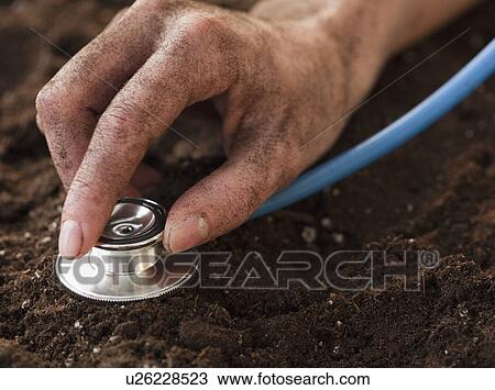 Stock Image - Woman digging up mushrooms. Fotosearch