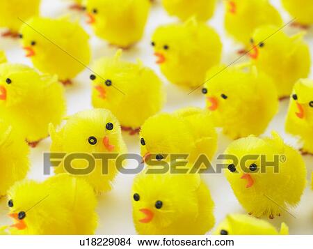 Abundance Of Easter Chicks View Large Photo Image Picture - Abundance Of Easter Chicks. Fotosearch