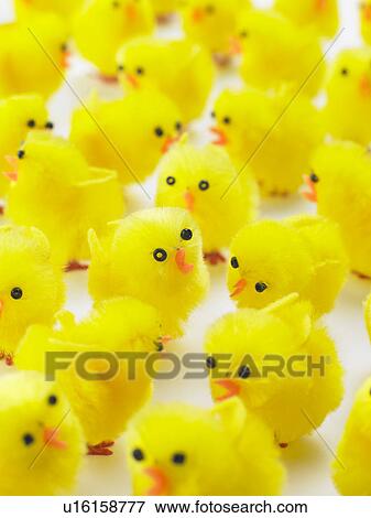 Abundance Of Easter Chicks View Large Photo Image Stock Photo - Abundance Of Easter Chicks. Fotosearch
