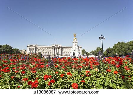 Buckingham Palace With Flowers Blooming In The Queen's Garden, London, England View Large Photo Image Stock Photo - Buckingham Palace With Flowers Blooming In The Queen's Garden, London, England. Fotosearch