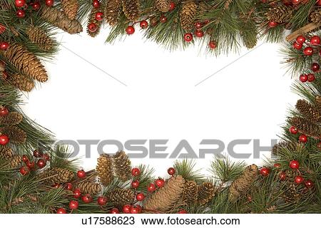 Christmas Border Of Pine Branches Against White Background View Large Photo Image Stock Image - Christmas Border Of Pine Branches Against White Background. Fotosearch