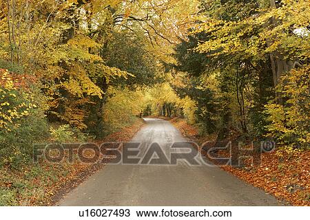 Country Road In Autumn View Large Photo Image Stock Image - Country Road In Autumn. Fotosearch