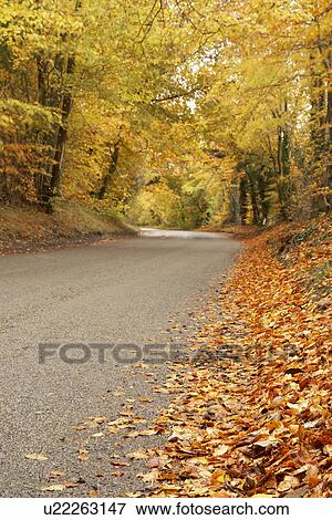 Stock Photo - Country Road In Autumn. Fotosearch