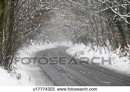 Country Road Lined With Snow And Skeletal Trees View Large Photo Image Stock Image - Country Road Lined With Snow And Skeletal Trees. Fotosearch
