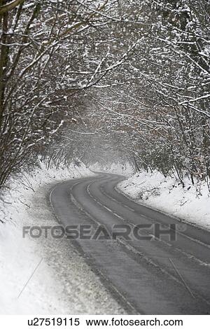 Country Road Lined With Snow And Skeletal Trees View Large Photo Image Stock Photography - Country Road Lined With Snow And Skeletal Trees. Fotosearch