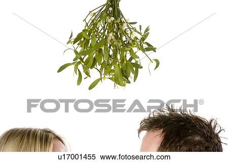 Detail Of Couple Standing Beneath Bunch Of Mistletoe View Large Photo Image Stock Photography - Detail Of Couple Standing Beneath Bunch Of Mistletoe. Fotosearch