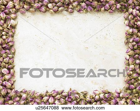 Dried Rose Heads In The Shape Of A Photograph Frame View Large Photo Image Stock Photo - Dried Rose Heads In The Shape Of A Photograph Frame. Fotosearch