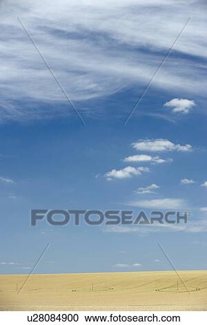 Dry Pasture Underneath A Blue Sky View Large Photo Image Stock Image - Dry Pasture Underneath A Blue Sky. Fotosearch