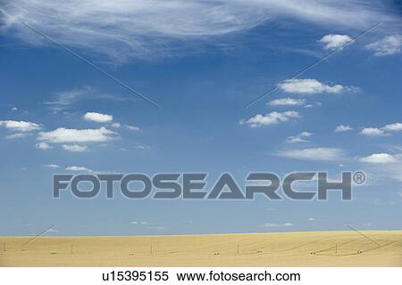 Stock Photography - Dry Pasture Underneath A Blue Sky. Fotosearch