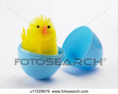 Easter Chick Hatching Out Of Egg View Large Photo Image Stock Photo - Easter Chick Hatching Out Of Egg. Fotosearch