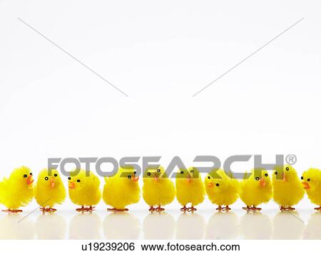 Easter Chicks In A Row View Large Photo Image Stock Photograph - Easter Chicks In A Row. Fotosearch