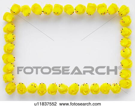 Easter Chicks Standing In A Square View Large Photo Image Stock Image - Easter Chicks Standing In A Square. Fotosearch