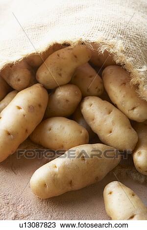 Stock Image - Fresh Potatoes In Hessian Sack. Fotosearch