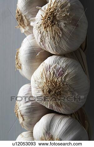 Stock Image - Garlic Cloves Hanging From String. Fotosearch