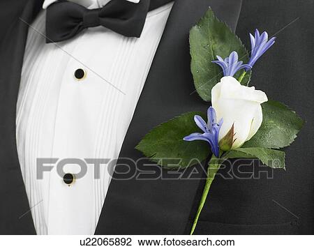 Man Wearing A Suit With A White Rose Corsage View Large Photo Image Stock Image - Man Wearing A Suit With A White Rose Corsage. Fotosearch