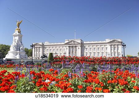 Palais Buckingham A Fleurs Fleurir Dans Les Reine Jardin Londres Angleterre Banque De Photo U18534019 Fotosearch