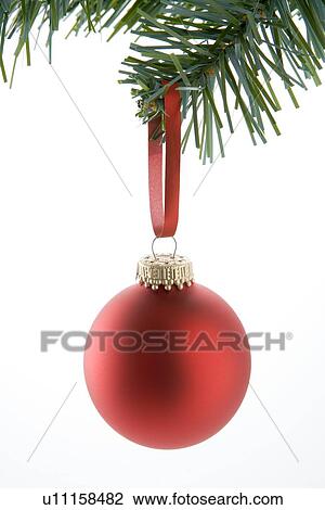 Red Bauble Hanging From Tree Against White Background View Large Photo Image Stock Image - Red Bauble Hanging From Tree Against White Background. Fotosearch