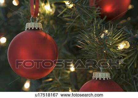 Stock Photo - Red Christmas Baubles Hanging On Christmas Tree. Fotosearch