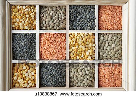 Selection Of Pulses View Large Photo Image Stock Photo - Selection Of Pulses. Fotosearch
