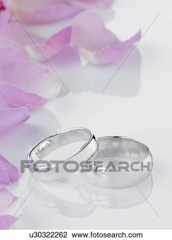 Silver Wedding Rings Resting Next To Flower Petals View Large Photo Image Stock Image - Silver Wedding Rings Resting Next To Flower Petals. Fotosearch