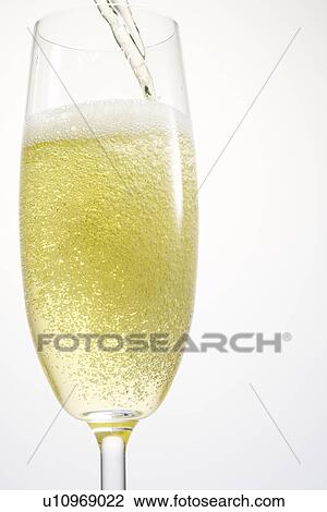 Stock Image - Single Champagne Flute. Fotosearch