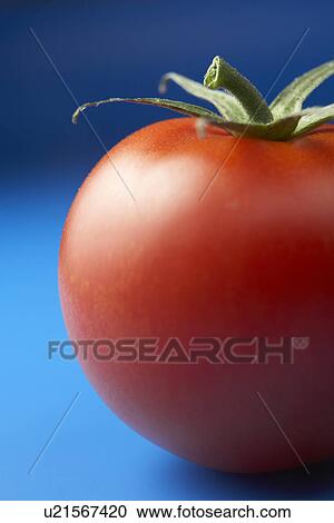 Still Life Of A Tomato View Large Photo Image Stock Image - Still Life Of A Tomato. Fotosearch