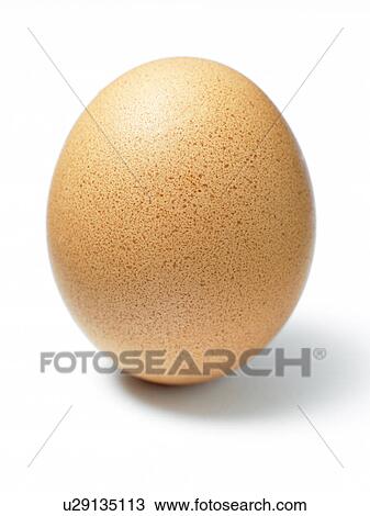 Stock Image - Studio Shot Of An Egg. Fotosearch