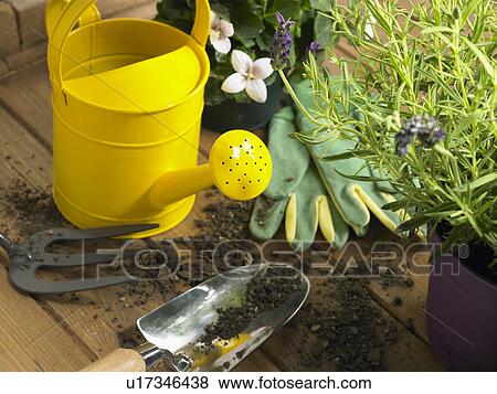 Watering Can And Trowel Next To Plants View Large Photo Image Stock Photo - Watering Can And Trowel Next To Plants. Fotosearch