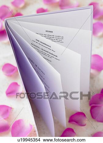 Wedding Booklet Surrounded By Rose Petals View Large Photo Image Picture - Wedding Booklet Surrounded By Rose Petals. Fotosearch