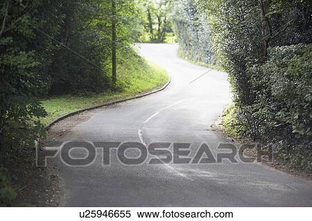 Winding Country Road Sided By Hedges View Large Photo Image Stock Photography - Winding Country Road Sided By Hedges. Fotosearch