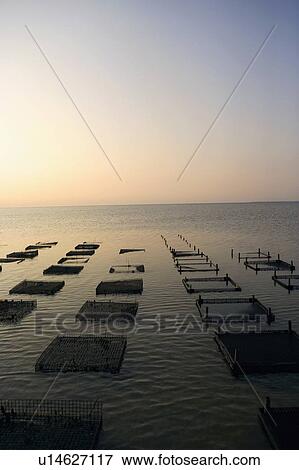 Fishing nets in the sea View Large Photo Image Stock Photo - Fishing nets in the sea. Fotosearch