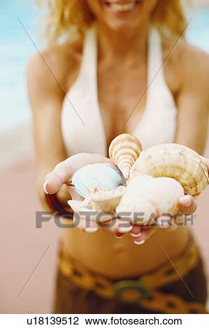 Mid section view of a mature woman holding conch shells View Large Photo Image Stock Image - Mid section view of a mature woman holding conch shells. Fotosearch