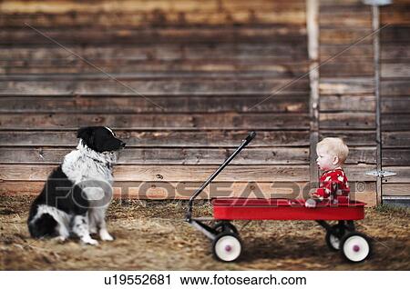 Stock Image - "Baby sitting in cart and watching dog, Carbondale, Colorado, USA". Fotosearch
