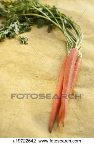Stock Image - Bunch of carrots. Fotosearch