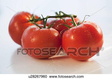 Bunch of tomatoes View Large Photo Image Stock Image - Bunch of tomatoes. Fotosearch