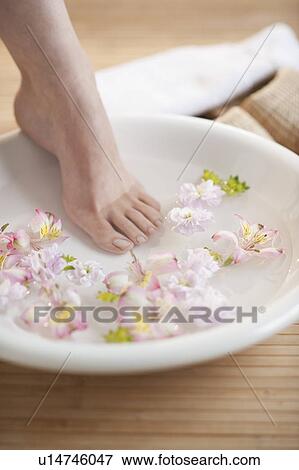 Close-up of woman's foot having spa treatment View Large Photo Image Stock Photo - Close-up of woman's foot having spa treatment. Fotosearch