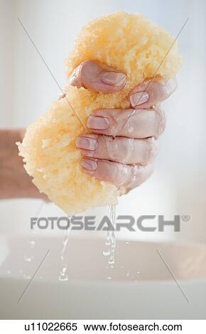 Stock Photography - Close-up of woman's hand squeezing sponge. Fotosearch