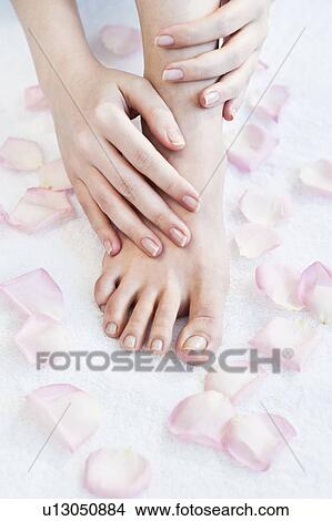 Close-up of woman's hands and feet View Large Photo Image Picture - Close-up of woman's hands and feet. Fotosearch