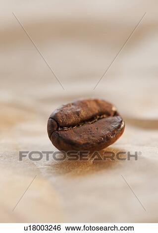 Stock Photograph - Coffee bean. Fotosearch