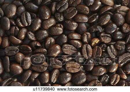 Coffee beans View Large Photo Image Stock Image - Coffee beans. Fotosearch
