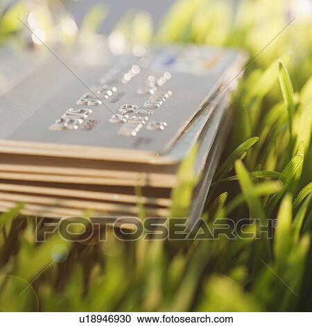 Credit cards on grass View Large Photo Image Stock Image - Credit cards on grass. Fotosearch