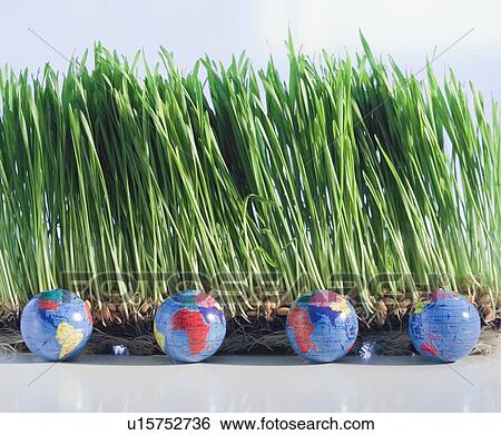 Four globes beside grass View Large Photo Image Stock Photograph - Four globes beside grass. Fotosearch