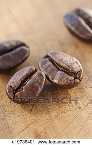 "Four roast coffee beans, studio shot" View Large Photo Image Stock Image - "Four roast coffee beans, studio shot". Fotosearch