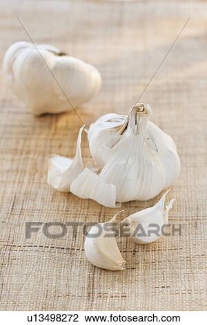 Garlic on fabric View Large Photo Image Stock Image - Garlic on fabric. Fotosearch