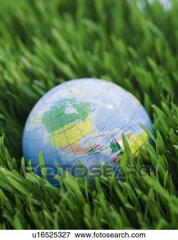 Globe on grass View Large Photo Image Stock Photo - Globe on grass. Fotosearch