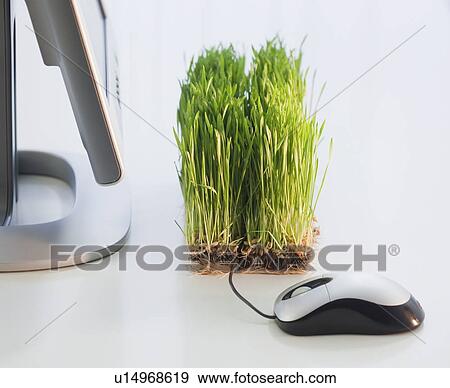 Stock Photo - Grass growing beside computer. Fotosearch