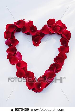 Stock Photo - Heart shape made of petals. Fotosearch